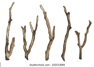 Watercolor dry tree branches set closeup isolated on white background. Hand painting on paper