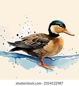 Watercolor Duck art illustration collection