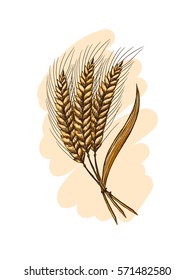 Watercolor Ears of wheat in graphic style