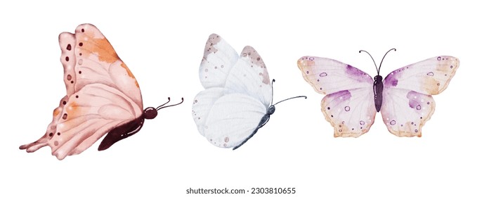 Colección de mariposas en tonos tierra acuarela, elementos de mariposa vectorial sobre fondo blanco. Ilustración mariposa adecuada para decorar en su diseño.