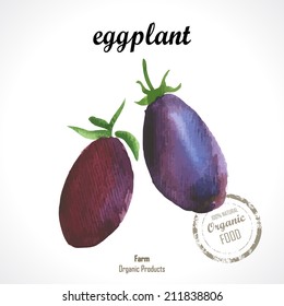 Watercolor eggplant. Provencal style. Recent watercolor paintings of organic food. Veggie menu