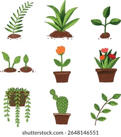 Watercolor element set of nature plants, flowers, fruits and objects on isolated background