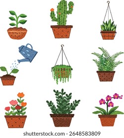 Watercolor element set of nature plants, flowers, fruits and objects on isolated background