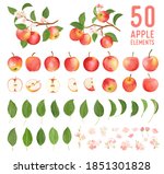 Watercolor elements of apple fruits, leaves and flowers for posters, wedding cards, summer boho banners, cover design templates, social media stories, spring wallpapers. Vector apples illustration