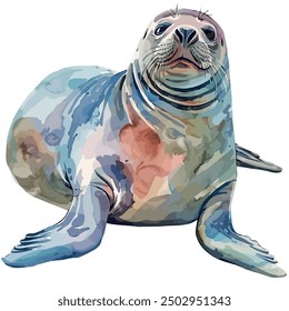 Watercolor of Elephant seal, isolated on a white background, Elephant seal vector