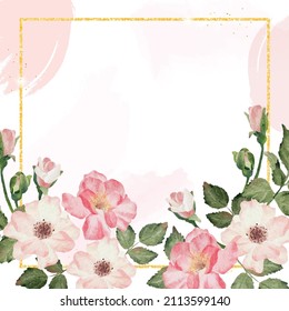 watercolor english rose with golden luxury square frame with copy space for text  digital painting