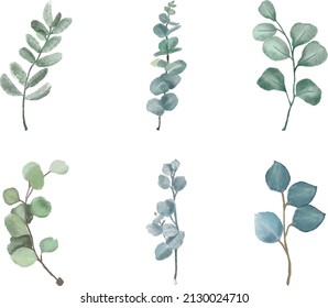 watercolor Eucalyptus clip-art, watercolor greeny leaf, Cute rustic wedding greenery.True blue eucalyptus, salal, parvifolia foliage, leaves and stems, Greenery floral card with eucalyptus, Watercolor