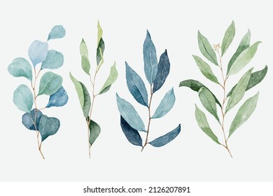 Watercolor eucalyptus and foliage branch