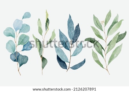 Watercolor eucalyptus and foliage branch