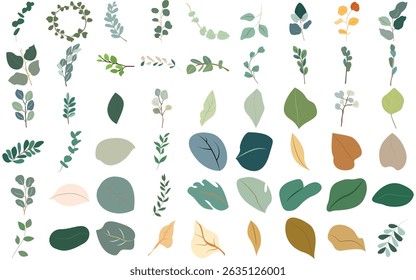 Watercolor Eucalyptus and Green Botanical Leaves  Vector Elements for Wedding and Graphic Use