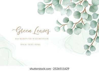 Watercolor eucalyptus leaf frame background