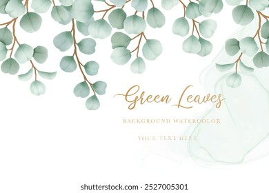 Watercolor eucalyptus leaf frame background
