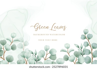 Watercolor eucalyptus leaf frame background
