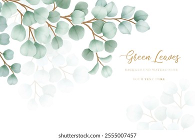 Watercolor eucalyptus leaf frame background