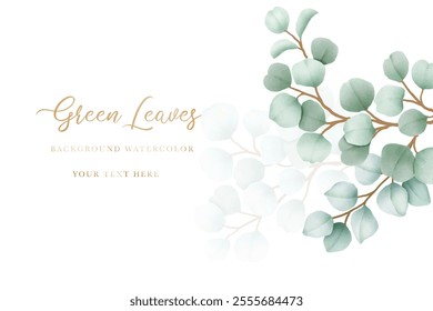 Watercolor eucalyptus leaf frame background