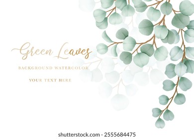 Watercolor eucalyptus leaf frame background