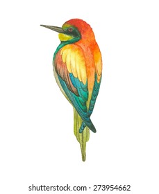 Watercolor European bee-eater bird (Merops apiaster), vector illustration.