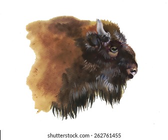 Watercolor european bison animal isolated on white background vector illustration