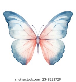 Mariposa exótica acuarela. Ilustración vectorial con mariposa dibujada a mano, polilla. Imagen de imagen prediseñada.