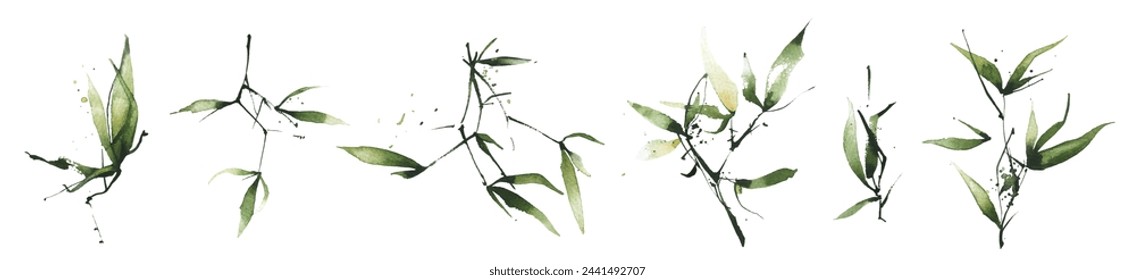 Watercolor exotic greenery set. Green bamboo branches, leaves and twigs.