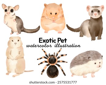 Watercolor Exotic Pet Illustration: Featuring Sugar Glider, Hamster, Ferret, Prairie Dog, Tarantula, and Hedgehog for Unique Pet-Themed Designs, Wildlife Art, and Creative Projects