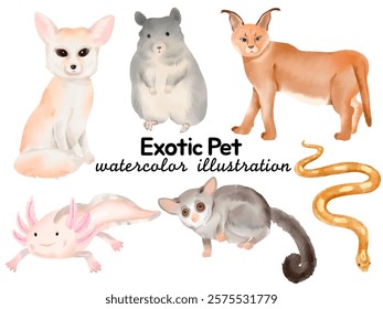 Watercolor Exotic Pet Illustration: Featuring Fennec Fox, Chinchilla, Caracal, Axolotl, Sugar Glider, and Snake for Pet-Themed Designs, Wildlife Art, and Creative Fantasy Projects