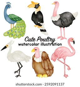 Watercolor Exotic and Poultry Bird Illustration Set - Hand-Painted, Cute, Realistic - Peacock, Hornbill, Ostrich, Egret, Vulture, Flamingo - Wildlife, Tropical, Vector Illustration