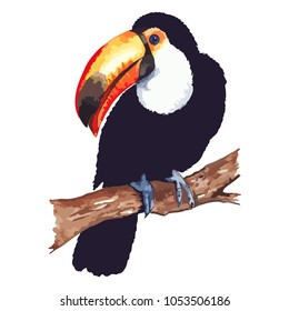 Watercolor exotic tropical animal bird toucan sitting on branch isolated art vector