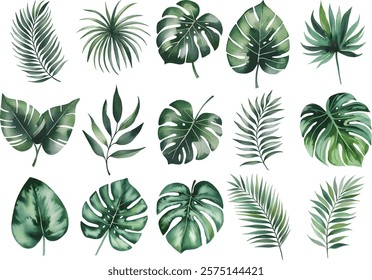 Watercolor Exotic tropical leaves Vcetor. Exotic plants, palm leaves, isolated on white background. 