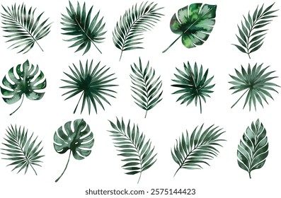 Watercolor Exotic tropical leaves Vcetor. Exotic plants, palm leaves, isolated on white background. 