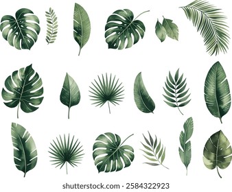Watercolor Exotic tropical leaves Vcetor. Exotic plants, palm leaves, isolated on white background. 