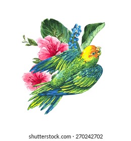 Watercolor Exotic Vintage Card with Blue berries, Pink Tropical Flowers and Green Parrots, Watercolor  Vector Illustration