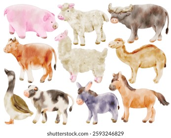 Watercolor Farm Animals Illustration Set - Hand-Painted, Realistic, Countryside Livestock - Pig, Cow, Sheep, Goat, Horse, Donkey, Goose, Llama, Buffalo, Camel, Vector Illustration