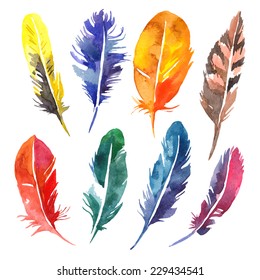 Watercolor feather set. Hand drawn vector illustration 