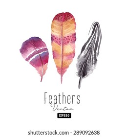 Watercolor feather set. Hand drawn vector illustration