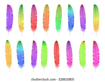 Watercolor feather set. Hand drawn organic natural vector illustration