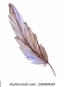 Watercolor feather single vector isolated