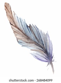 Watercolor feather single vector isolated