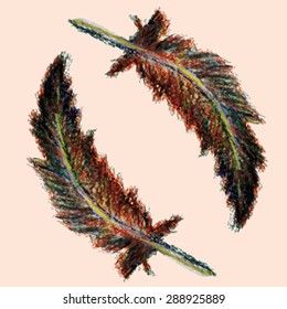 Watercolor feather. Vector illustration