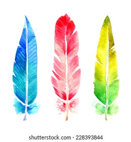 Watercolor feathers illustration, isolated on white background. Vector.