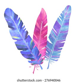 Watercolor feathers set closeup isolated on white background set. Art design element, hand drawn