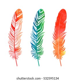 Watercolor feathers set on white background. Feather logo, feather sign.