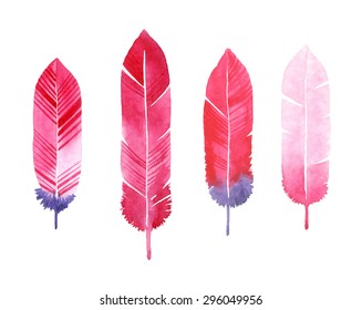Watercolor feathers set. Vector hand drawn painted background.