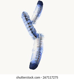 Watercolor feathers. Vector illustration