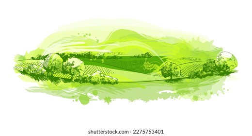Watercolor field on small hills. Meadow green grass, grassland, pasturage, farm, trees. Rural scenery landscape panorama of countryside pastures. Hand drawn vector illustration