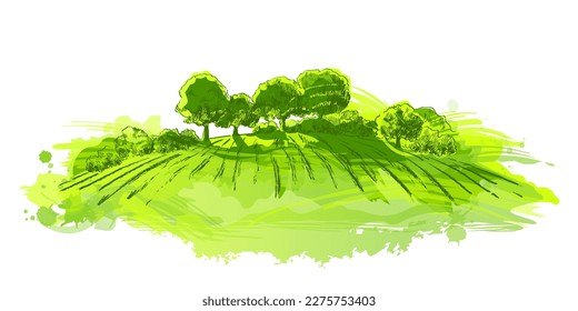 Watercolor field small hills  Meadow green grass  grassland  pasturage  farm  trees  Rural scenery landscape panorama countryside pastures  Hand drawn vector illustration