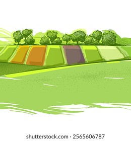 Watercolor field on small hills. Meadow green grass, grassland, pasturage, farm, trees. Rural scenery landscape panorama of countryside pastures. Hand drawn vector illustration