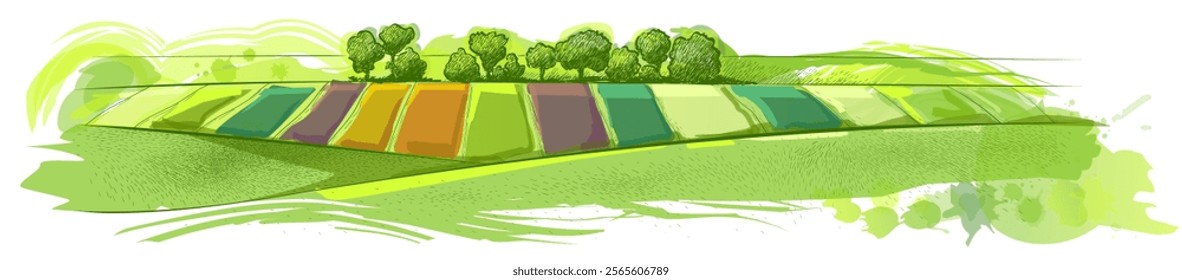 Watercolor field on small hills. Meadow green grass, grassland, pasturage, farm, trees. Rural scenery landscape panorama of countryside pastures. Hand drawn vector illustration