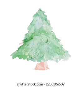 Watercolor fir tree, hand drawn illustration. Vector illustration