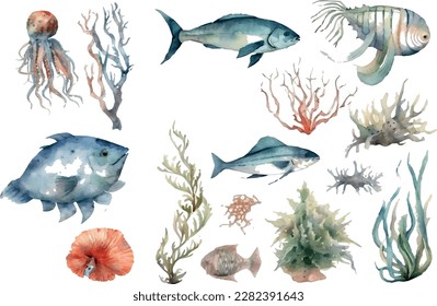 Watercolor fish. Fresh organic seafood. Nature drawing - Vector illustration.